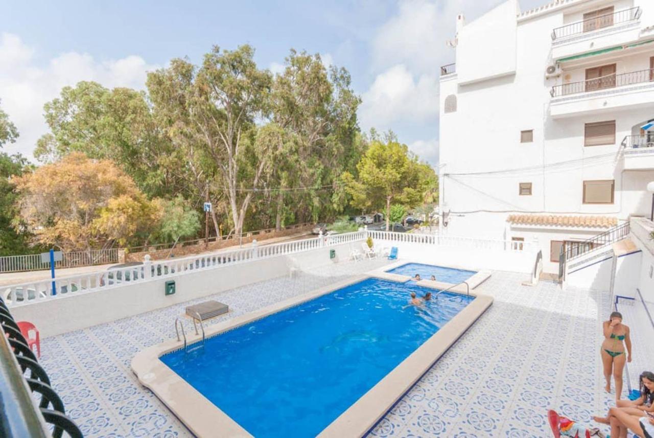 Playa Flamenca Splendid Apartment On The Beach アリカンテ エクステリア 写真