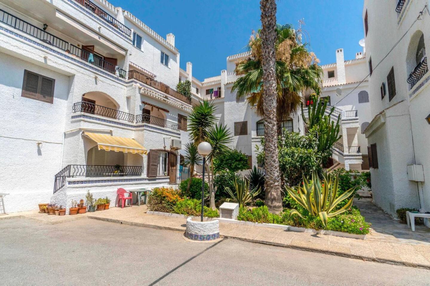 Playa Flamenca Splendid Apartment On The Beach アリカンテ エクステリア 写真