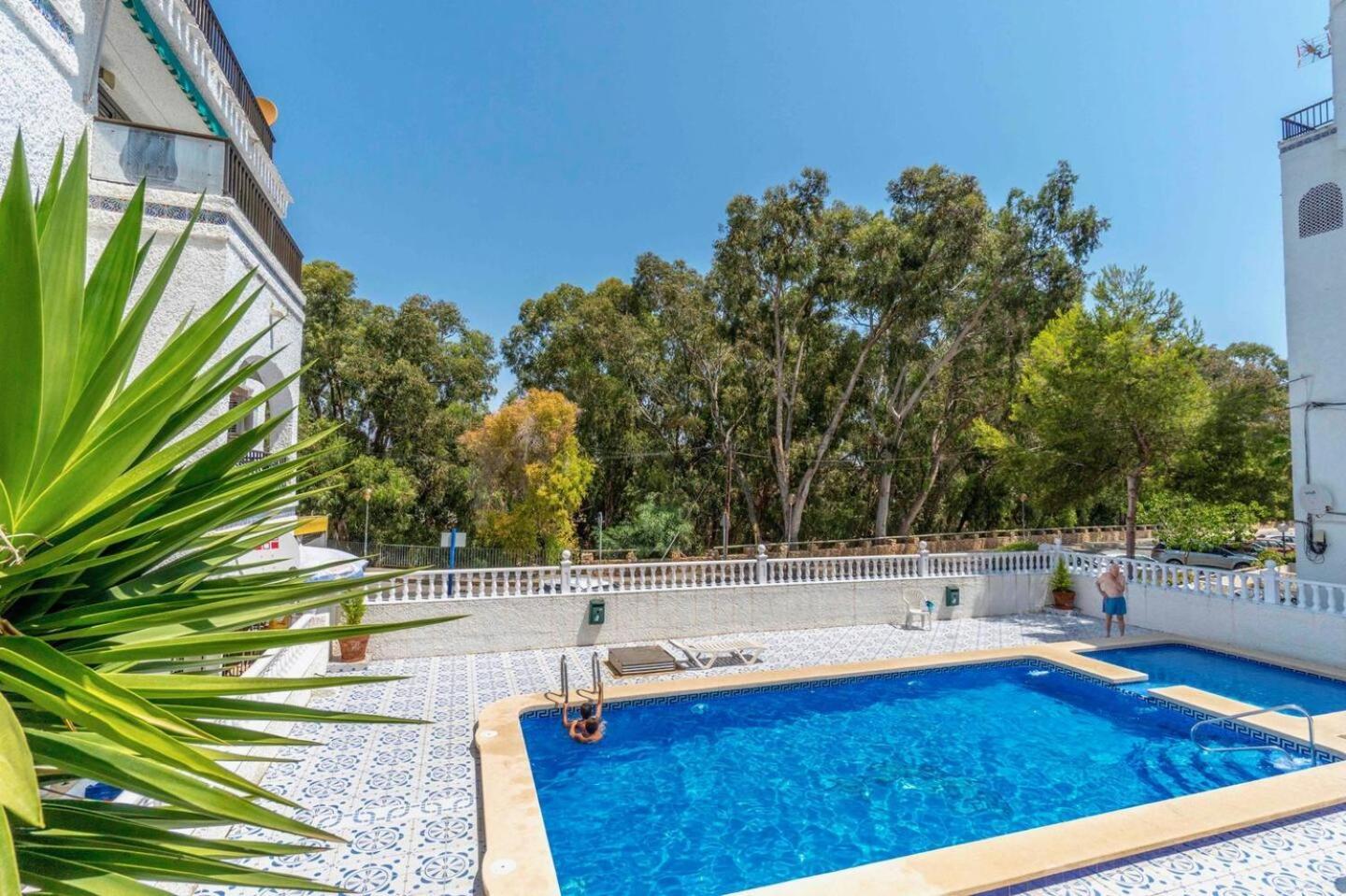 Playa Flamenca Splendid Apartment On The Beach アリカンテ エクステリア 写真